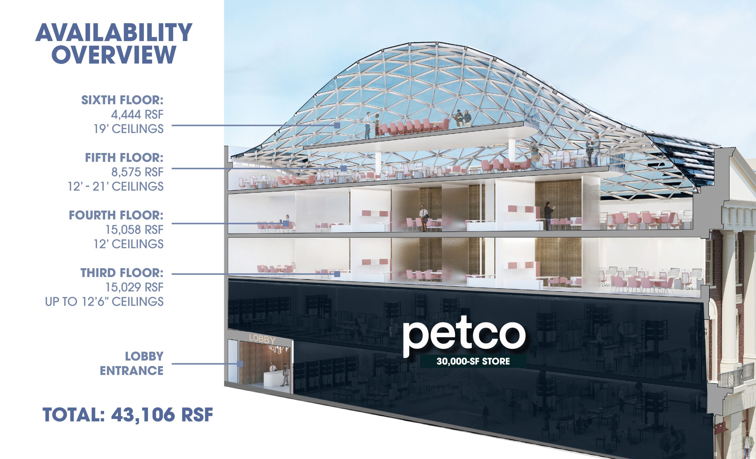 Sectional-Rendering
